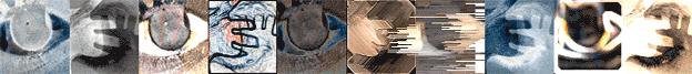 Idenity Graphic